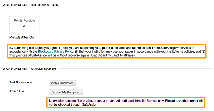 Image of an assignment submission page with safeassign statement highlighted
