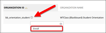 Screenshot of Enroll link to the orientation course
